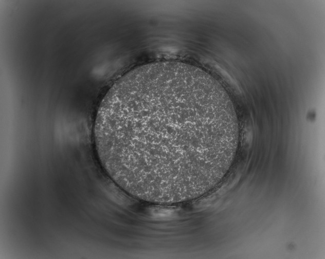 X0000102470661200808221644
