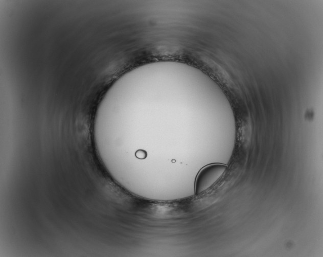 X0000102470662200808221644