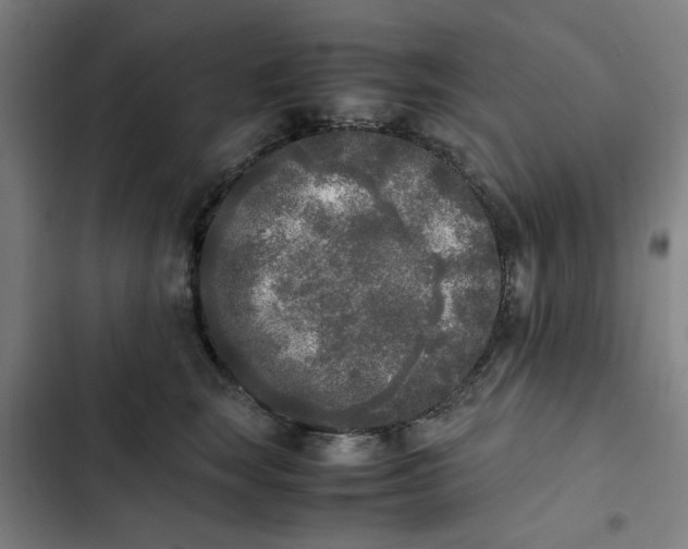 X0000102470663200808221644