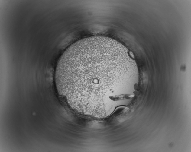 X0000102470664200808221644