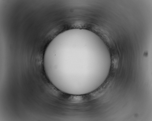 X0000102470665200808221644