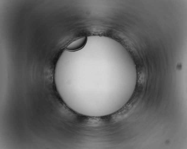 X0000102470666200808221644