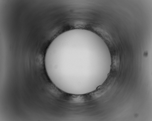 X0000102470667200808221644