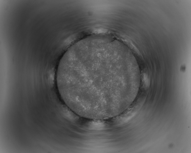 X0000102470668200808221644