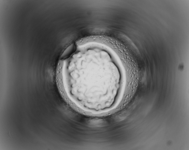 X0000102470669200808221644
