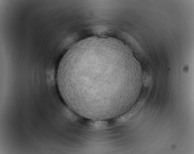 X0000102470670200808221644