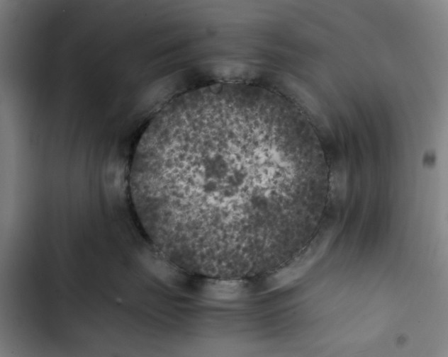 X0000102470671200808221644