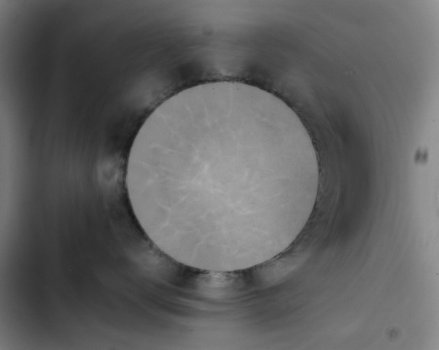 X0000102470672200808221644