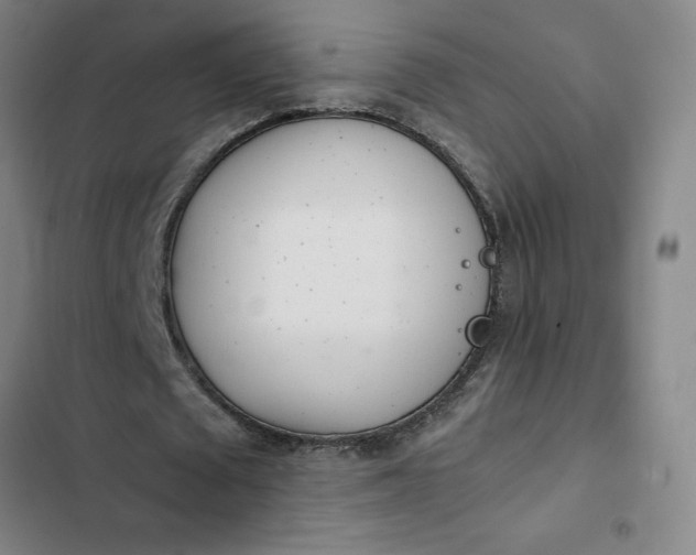 X0000102470673200808221643