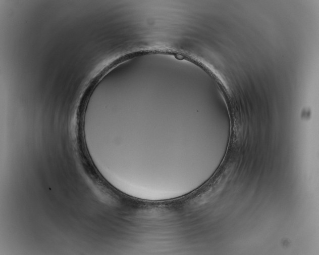 X0000102470674200808221643