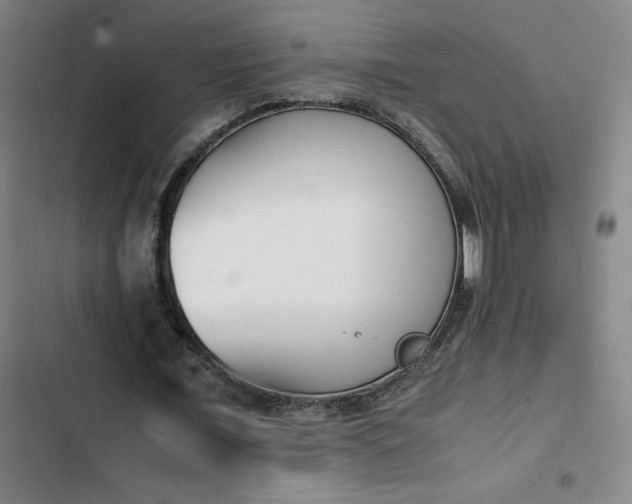 X0000102470675200808221643