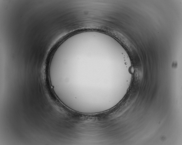 X0000102470676200808221643