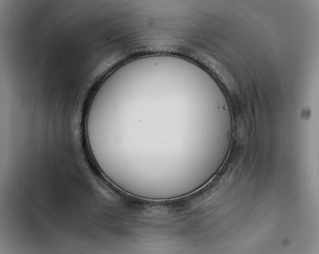 X0000102470677200808221643