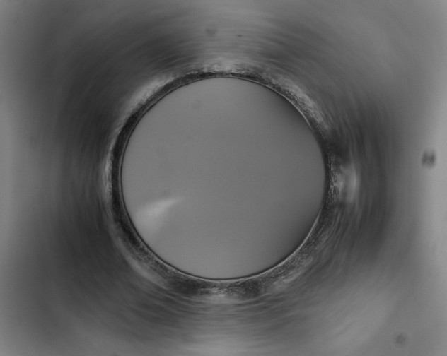 X0000102470678200808221643