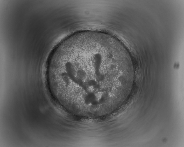 X0000102470679200808221643