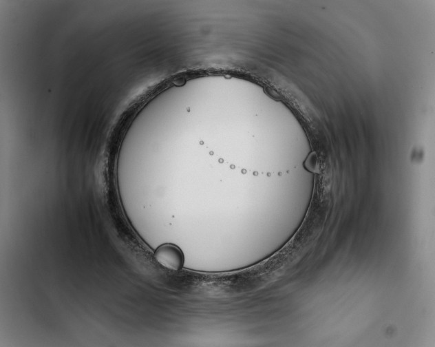 X0000102470680200808221643