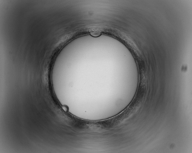 X0000102470681200808221643