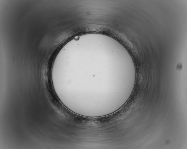 X0000102470683200808221643