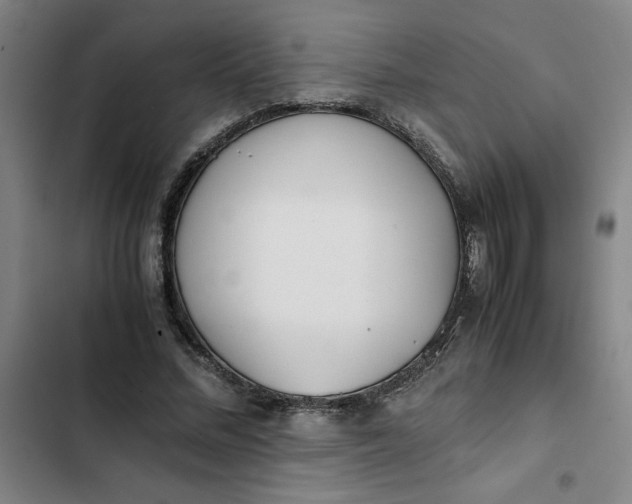 X0000102470684200808221643