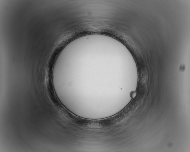 X0000102470685200808221643
