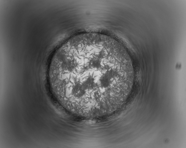 X0000102470687200808221643