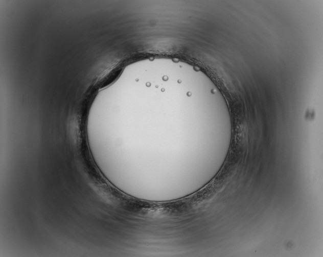 X0000102470688200808221643