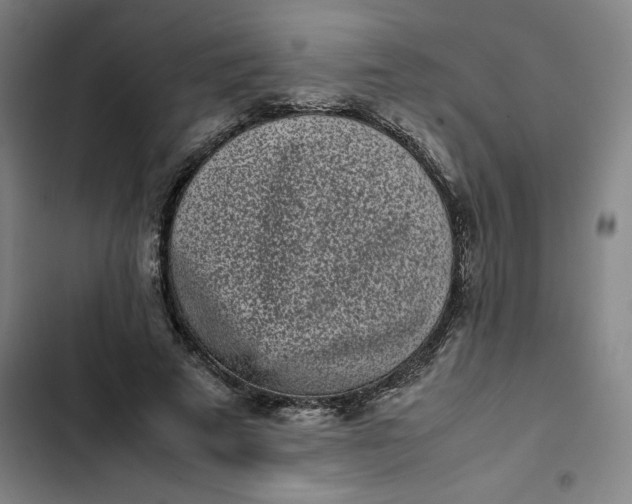 X0000102470689200808221643