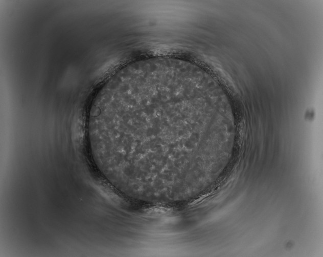X0000102470691200808221643