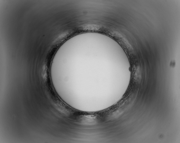 X0000102470692200808221643