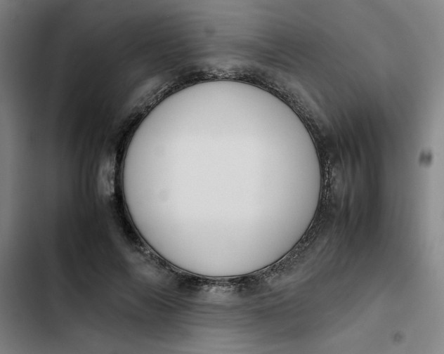 X0000102470694200808221643