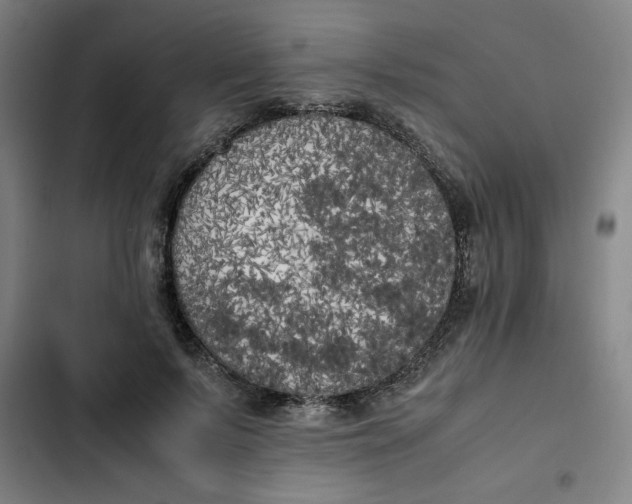 X0000102470695200808221643