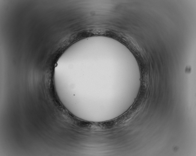X0000102470697200808221643