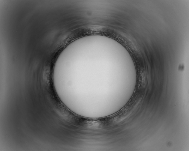 X0000102470698200808221643