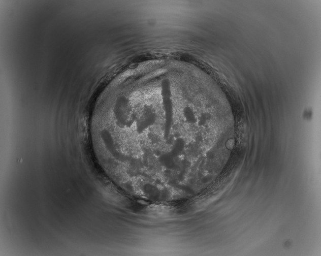 X0000102470699200808221643