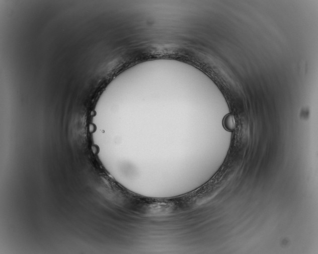 X0000102470700200808221643