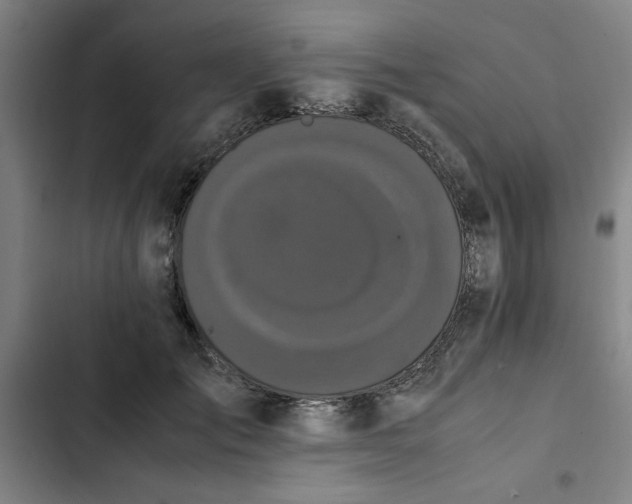 X0000102470701200808221643