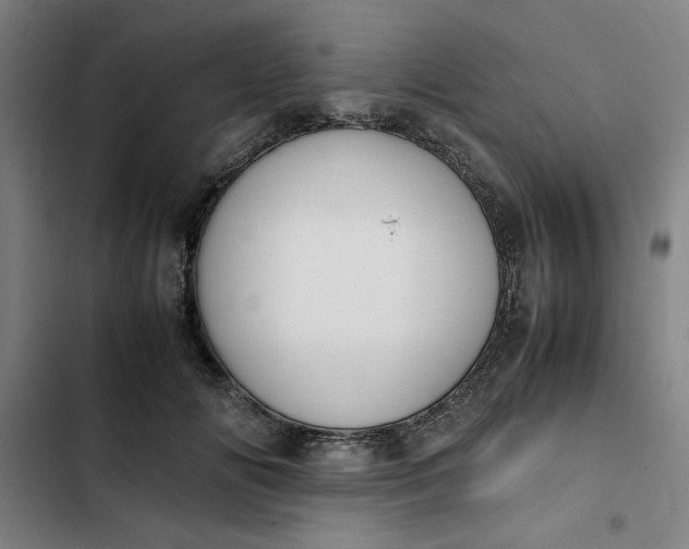 X0000102470702200808221643