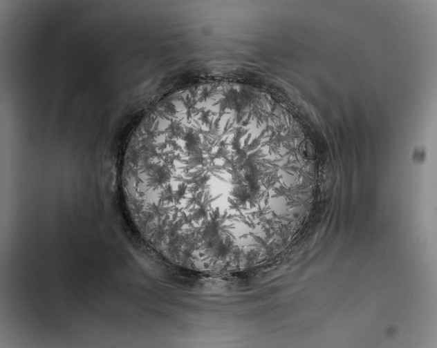 X0000102470703200808221643