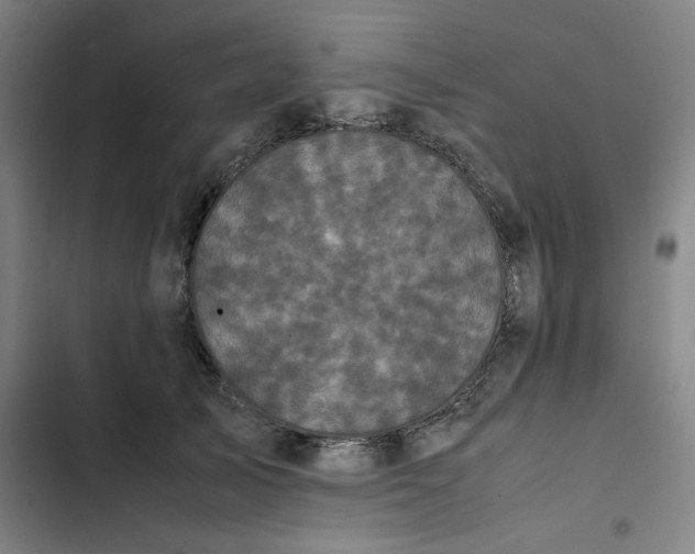 X0000102470705200808221643