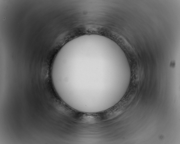 X0000102470706200808221643