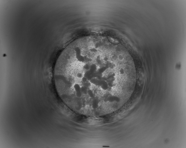 X0000102470707200808221643