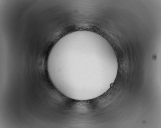 X0000102470708200808221643
