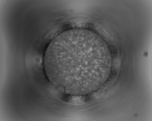 X0000102470709200808221643