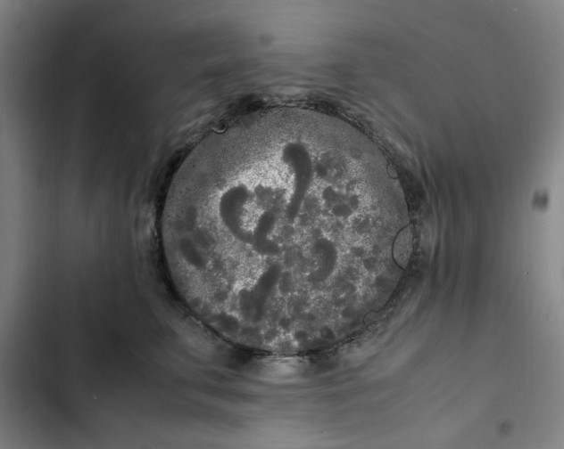 X0000102470711200808221643
