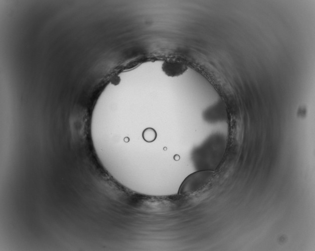 X0000102470712200808221643