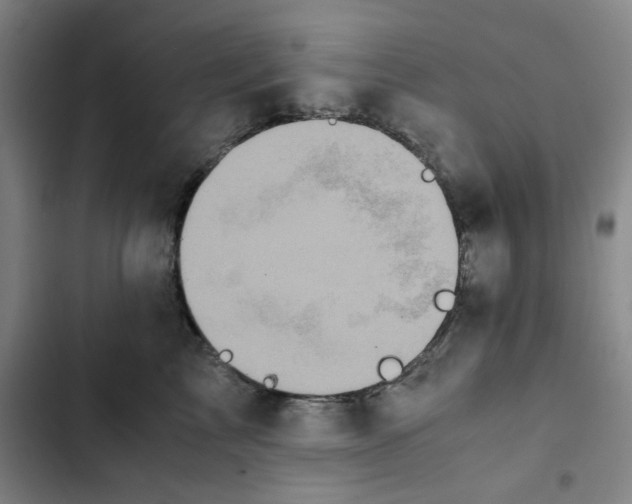 X0000102470713200808221643