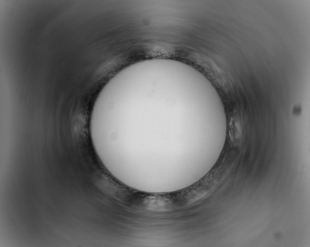 X0000102470714200808221643