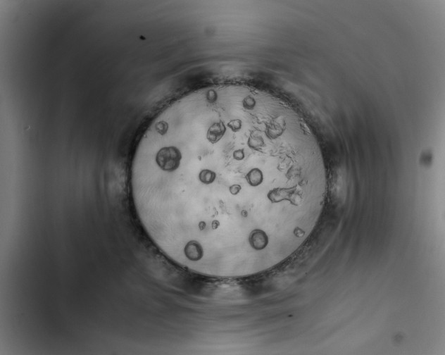 X0000102470715200808221643