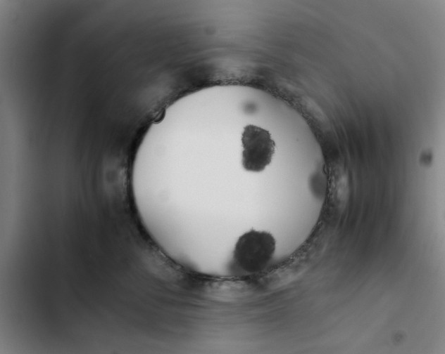 X0000102470716200808221643