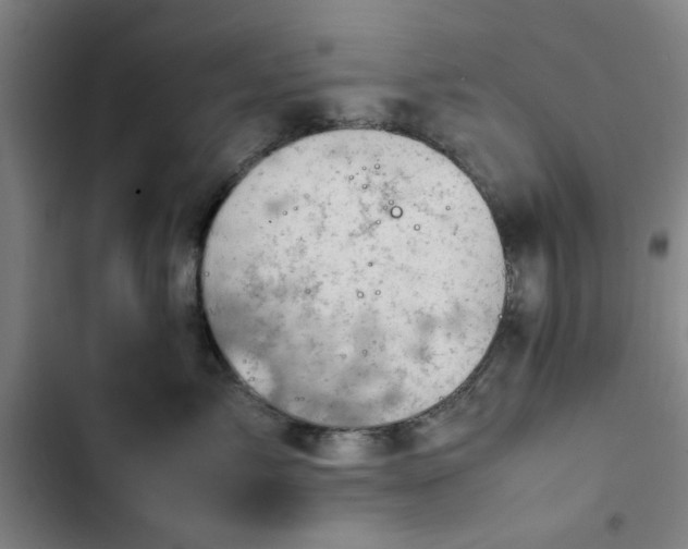 X0000102470717200808221643